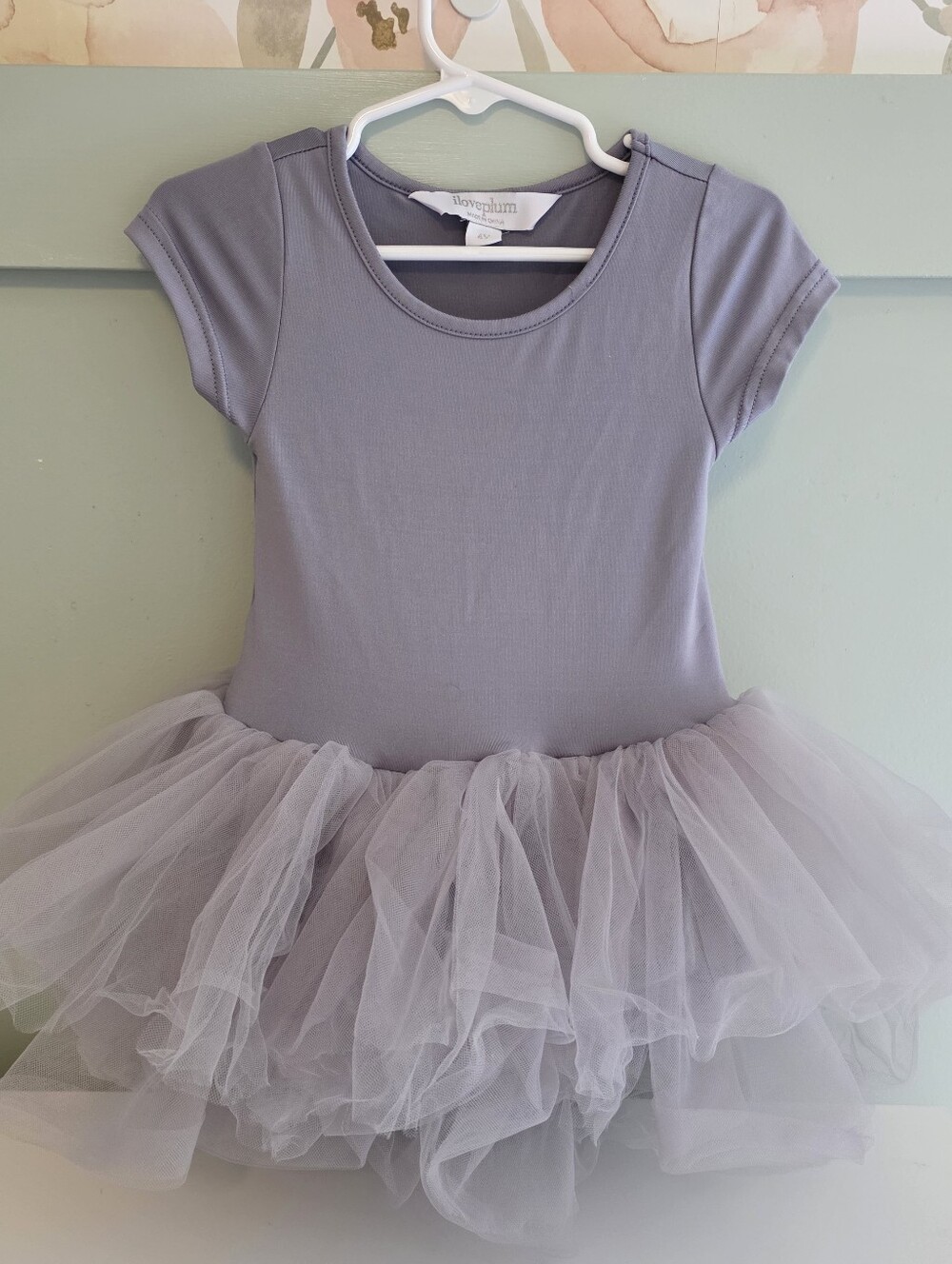 Iloveplum 4 Years Or 4t I Love Plum Leotard Tutu Dance Costume Dress